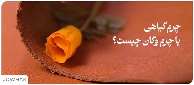 چرم گیاهی یا چرم وگان چیست؟