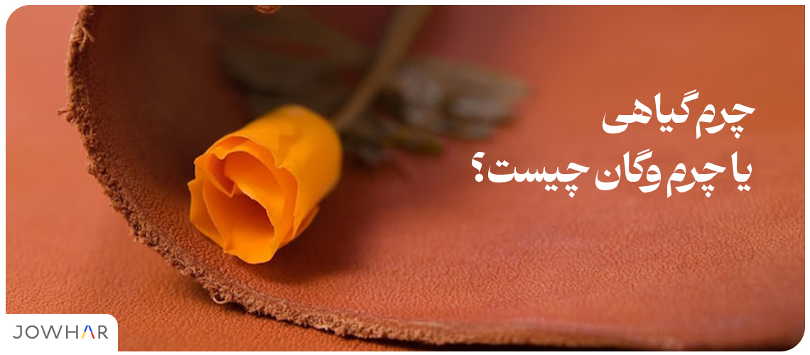 چرم گیاهی یا چرم وگان چیست؟